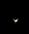 4565_16050902.GIF