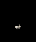 6984_16050901.GIF