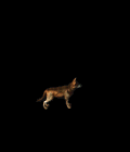 4871_16050905.GIF