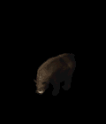 7285_16050917.GIF