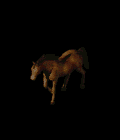 6598_16050910.GIF