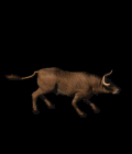 7415_16050913.GIF