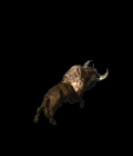 2267_16050981.GIF
