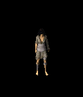1646_16050985.GIF