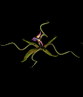 1751_16051001.GIF