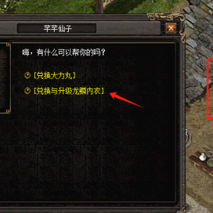内衣合成